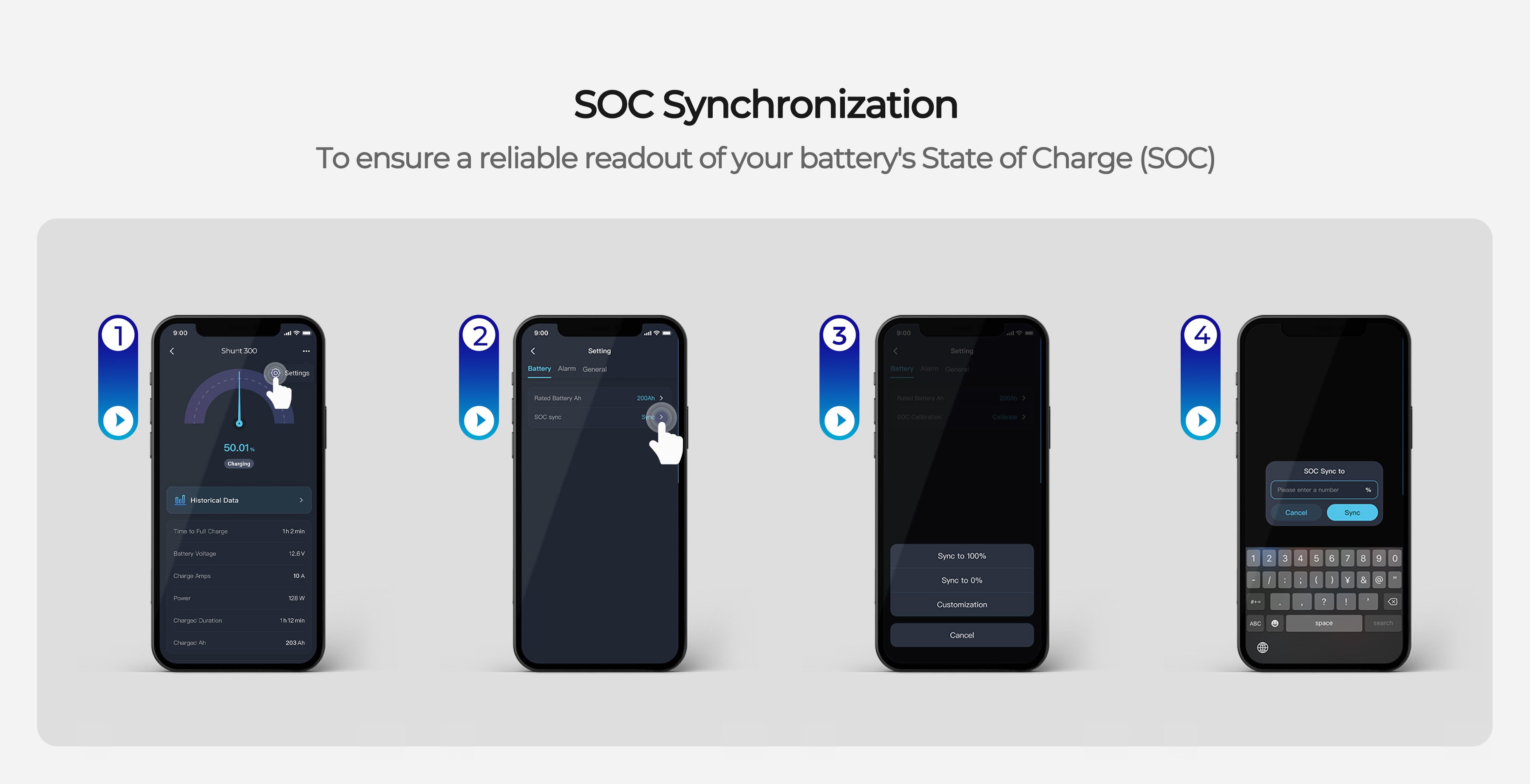 Renogy Battery Shunt 300 setup screen