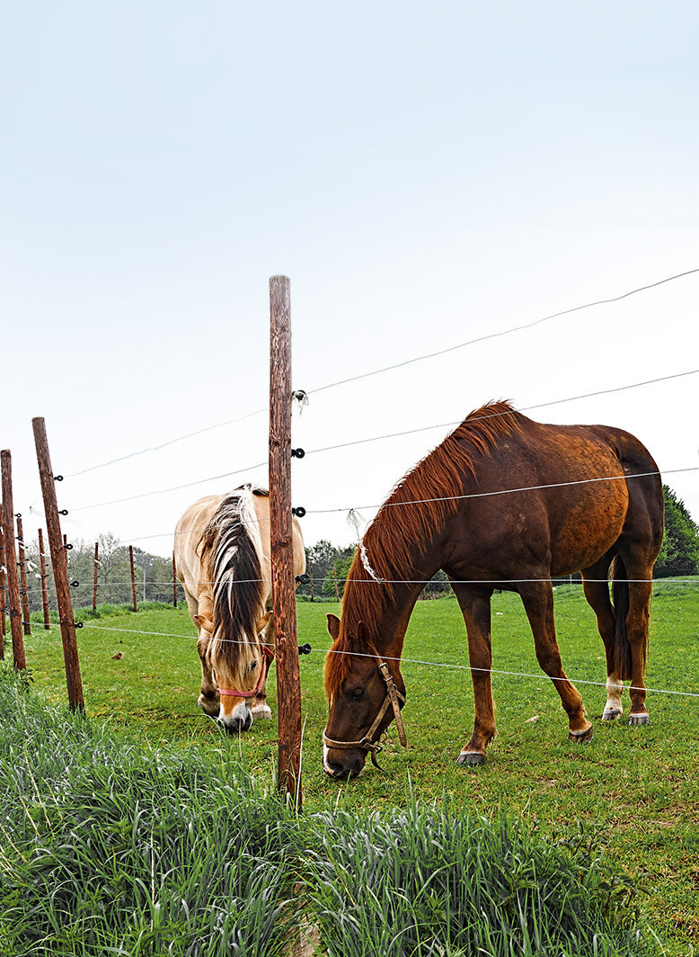 Electric fence application for compatible lithium battery power