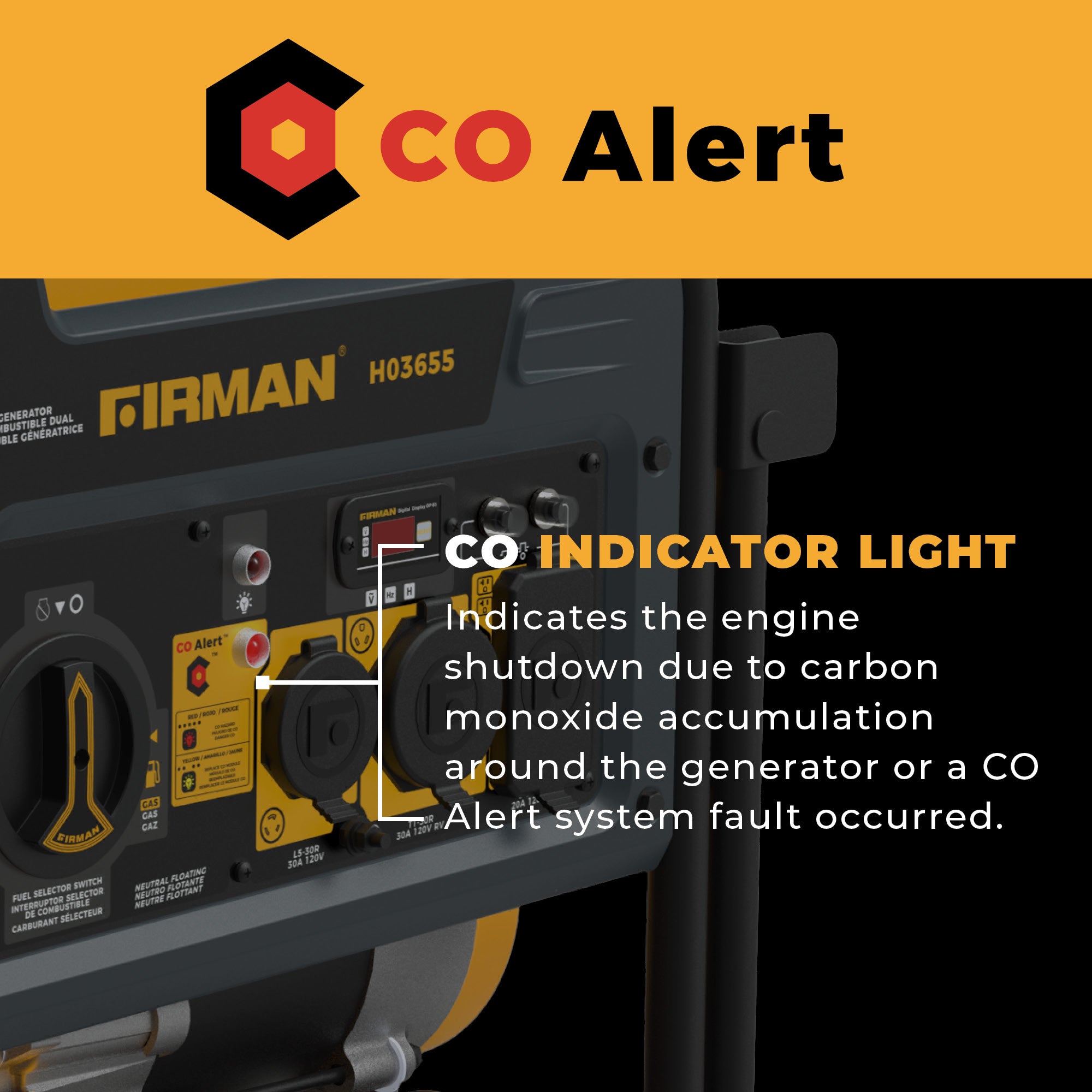 Dual Fuel Portable Generator 4550/3650W Recoil Start