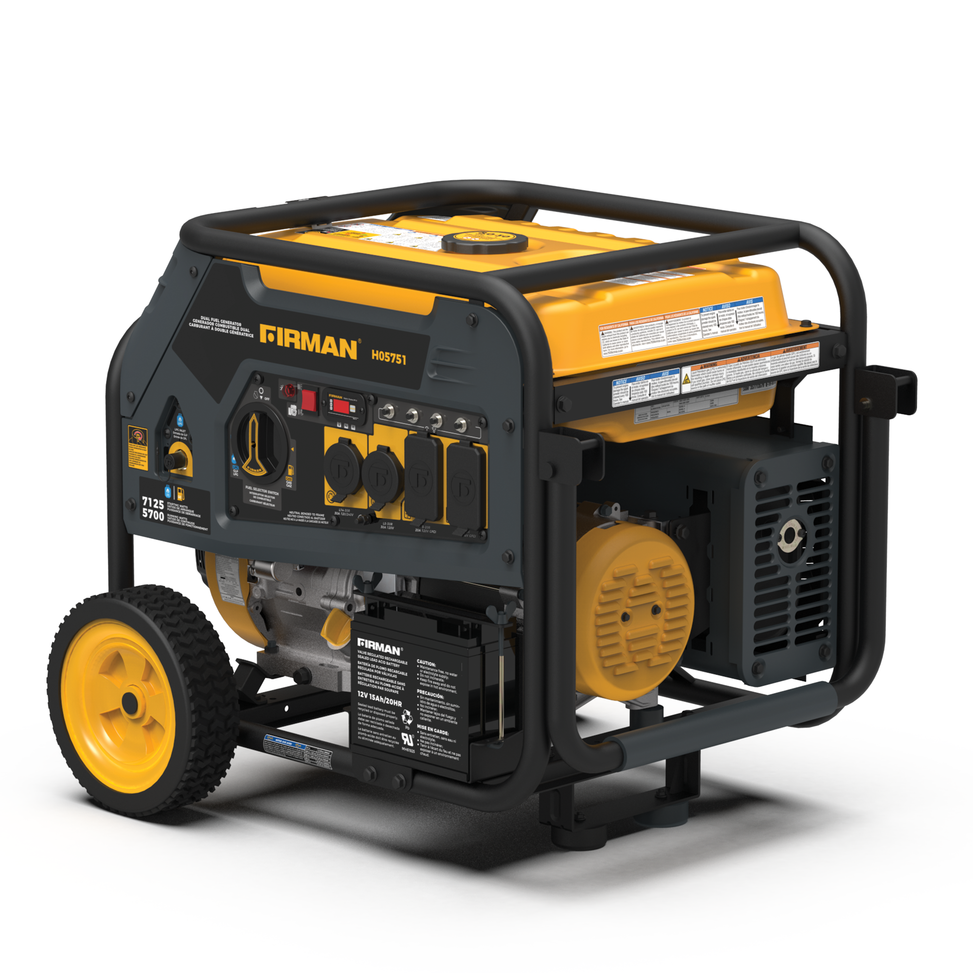 Dual Fuel Portable Generator 7125/5700W Electric Start 120/240V