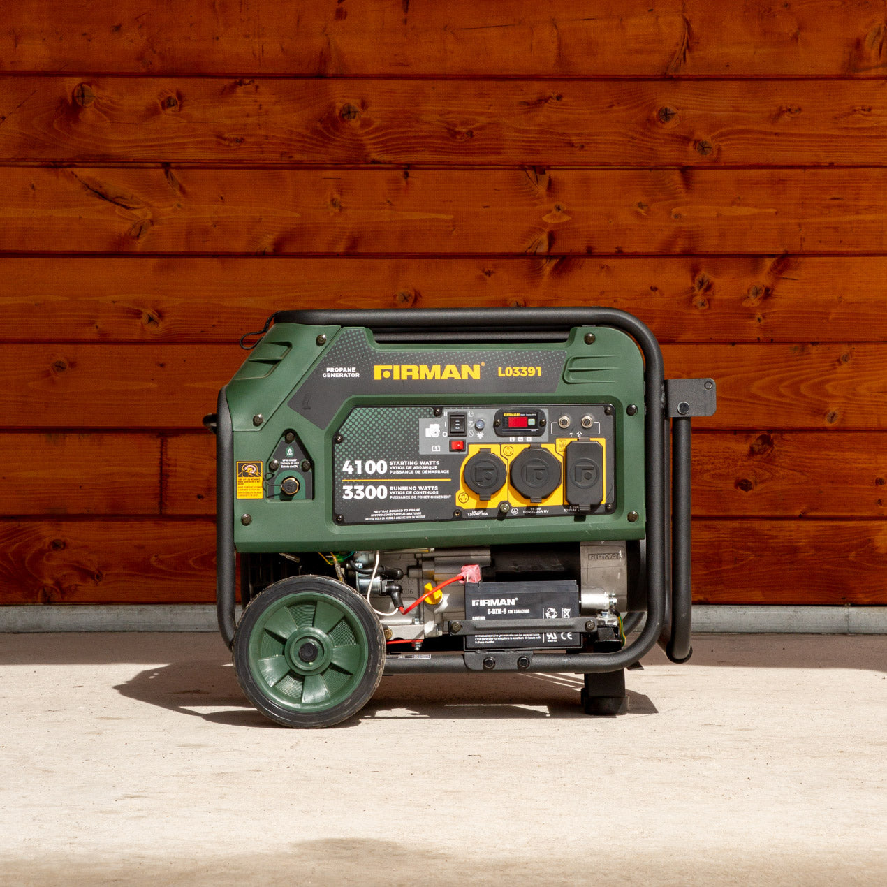 LPG Portable Generator 4100/3300W Electric Start