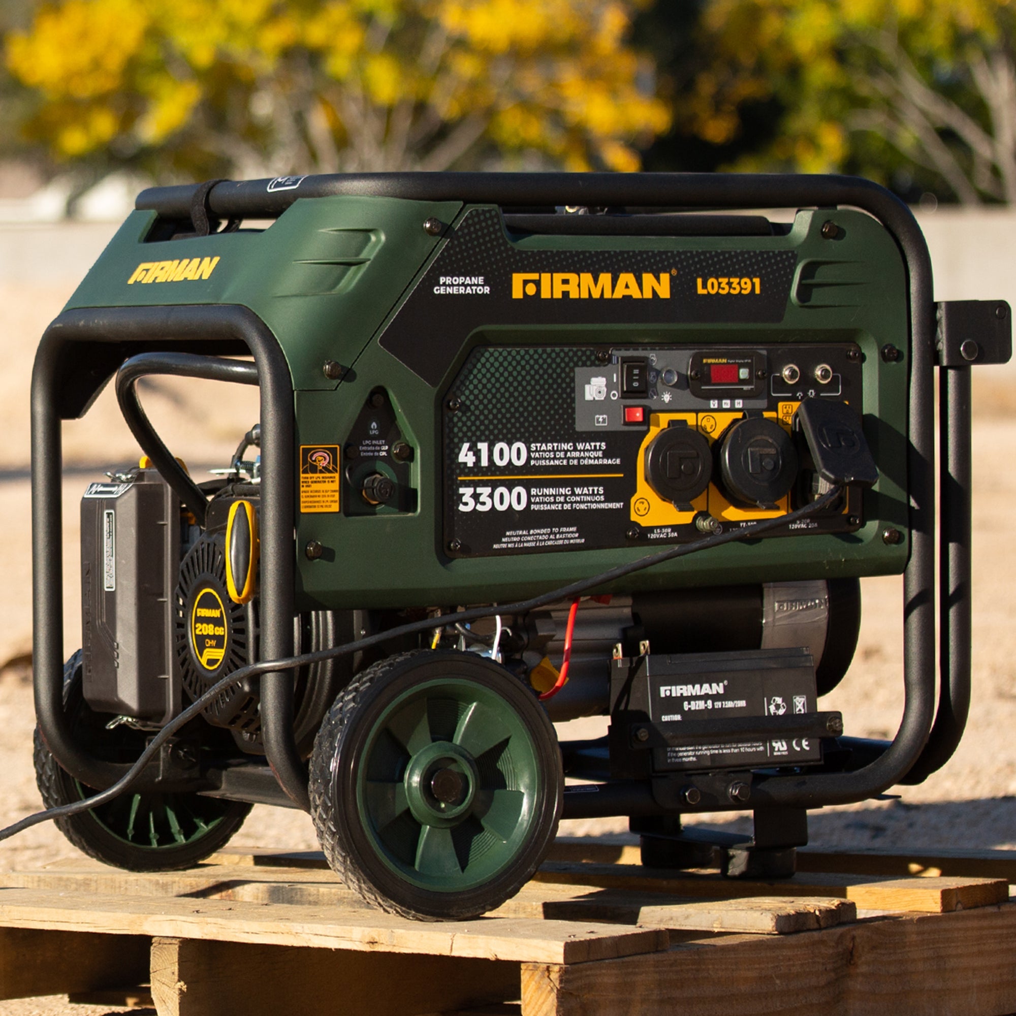 LPG Portable Generator 4100/3300W Electric Start