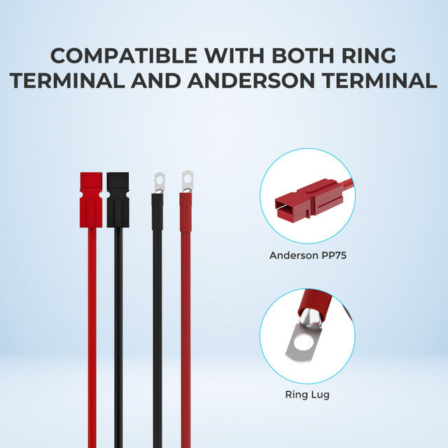 Renogy 10FT 6 AWG Anderson Adapter Cable (Anderson PP75 - 3/8 in Lugs)
