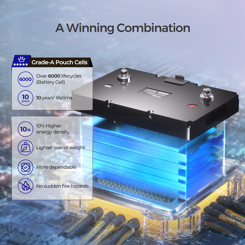 Renogy 12V 100Ah Smart Lithium Iron Phosphate Battery w/ Self Heating Function