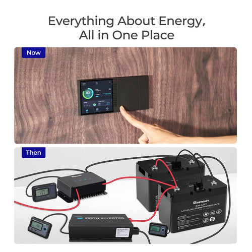 Renogy 12V 100Ah Smart Lithium Iron Phosphate Battery w/ Self Heating Function