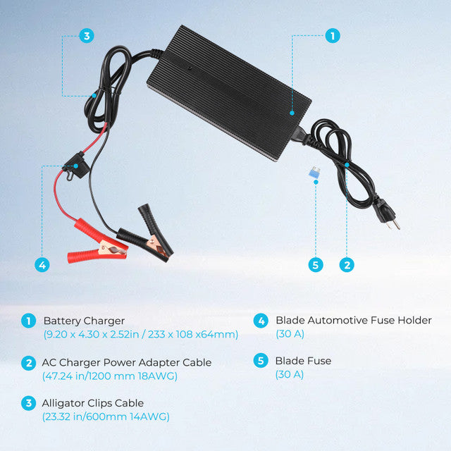Renogy 12V 20A AC to DC LFP Portable Battery Charger