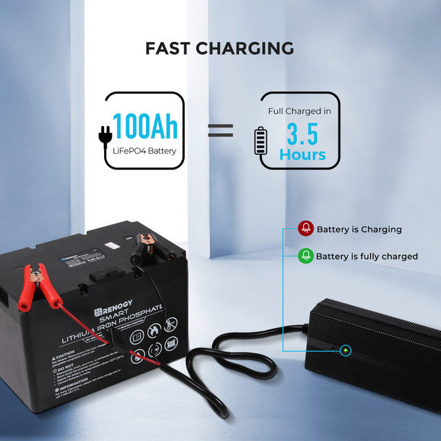 Renogy 12V 20A AC to DC LFP Portable Battery Charger