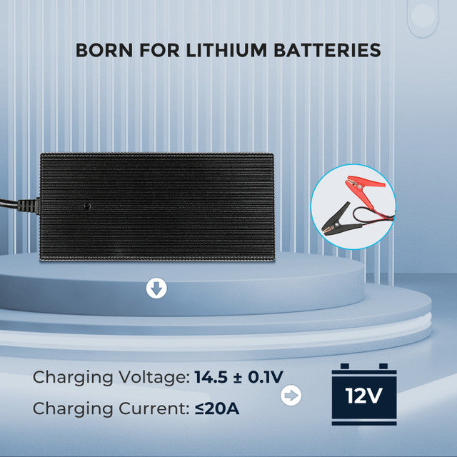 Renogy 12V 20A AC to DC LFP Portable Battery Charger