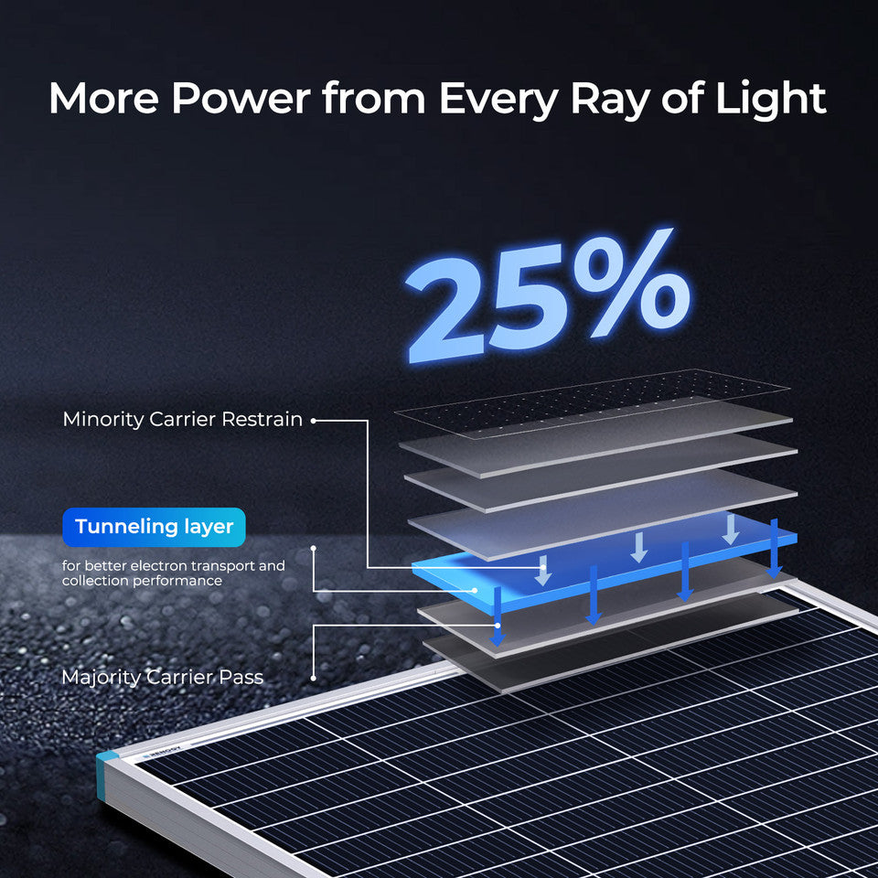 Renogy 16BB N-Type 175W 12V Solar Panel