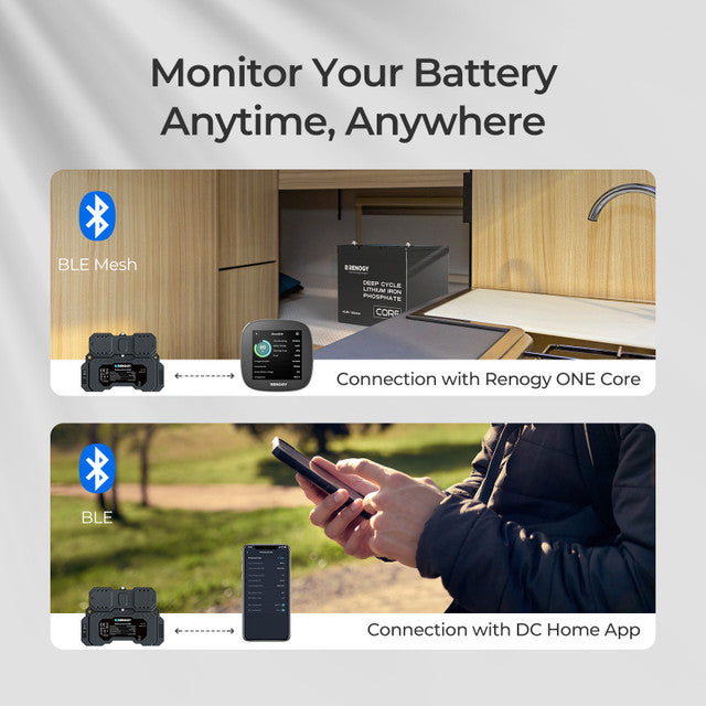 Renogy Battery Shunt 300 Remote Battery Monitoring