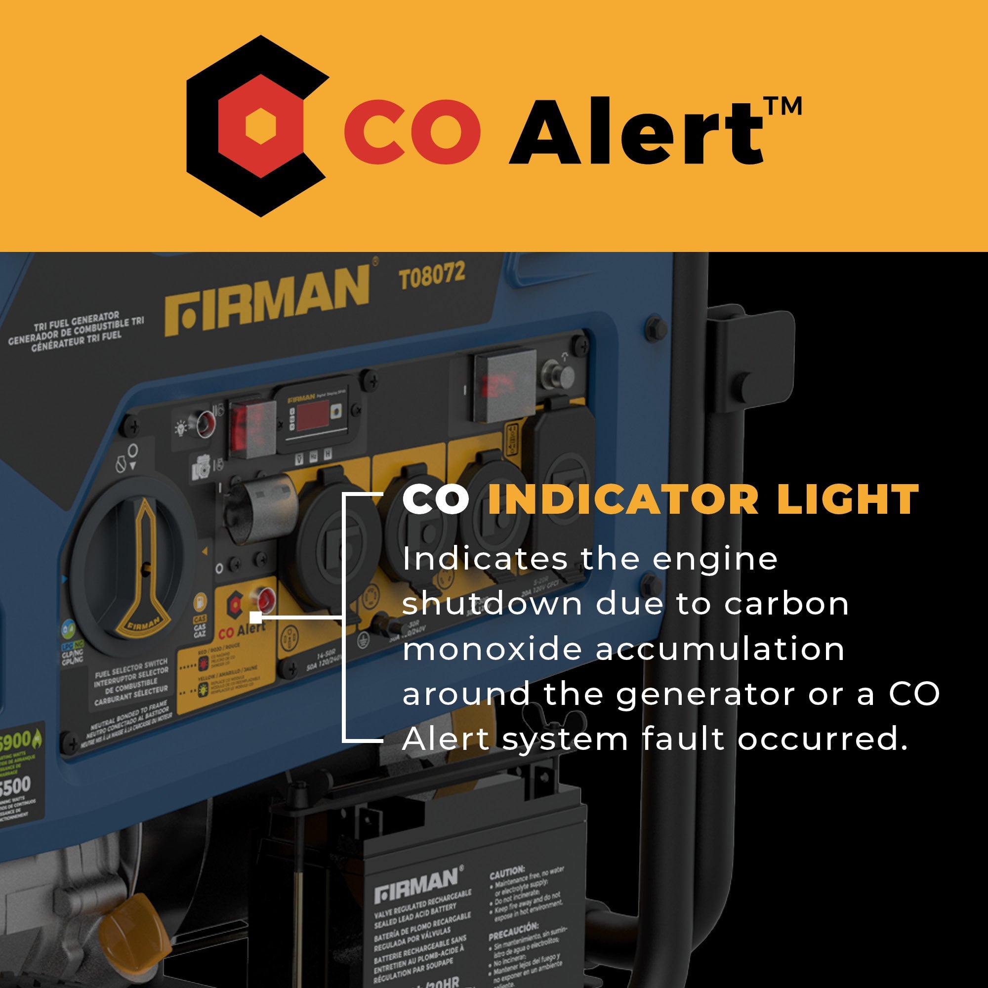 Tri Fuel Portable Generator 10000/8000W Electric Start 120/240V with CO ALERT