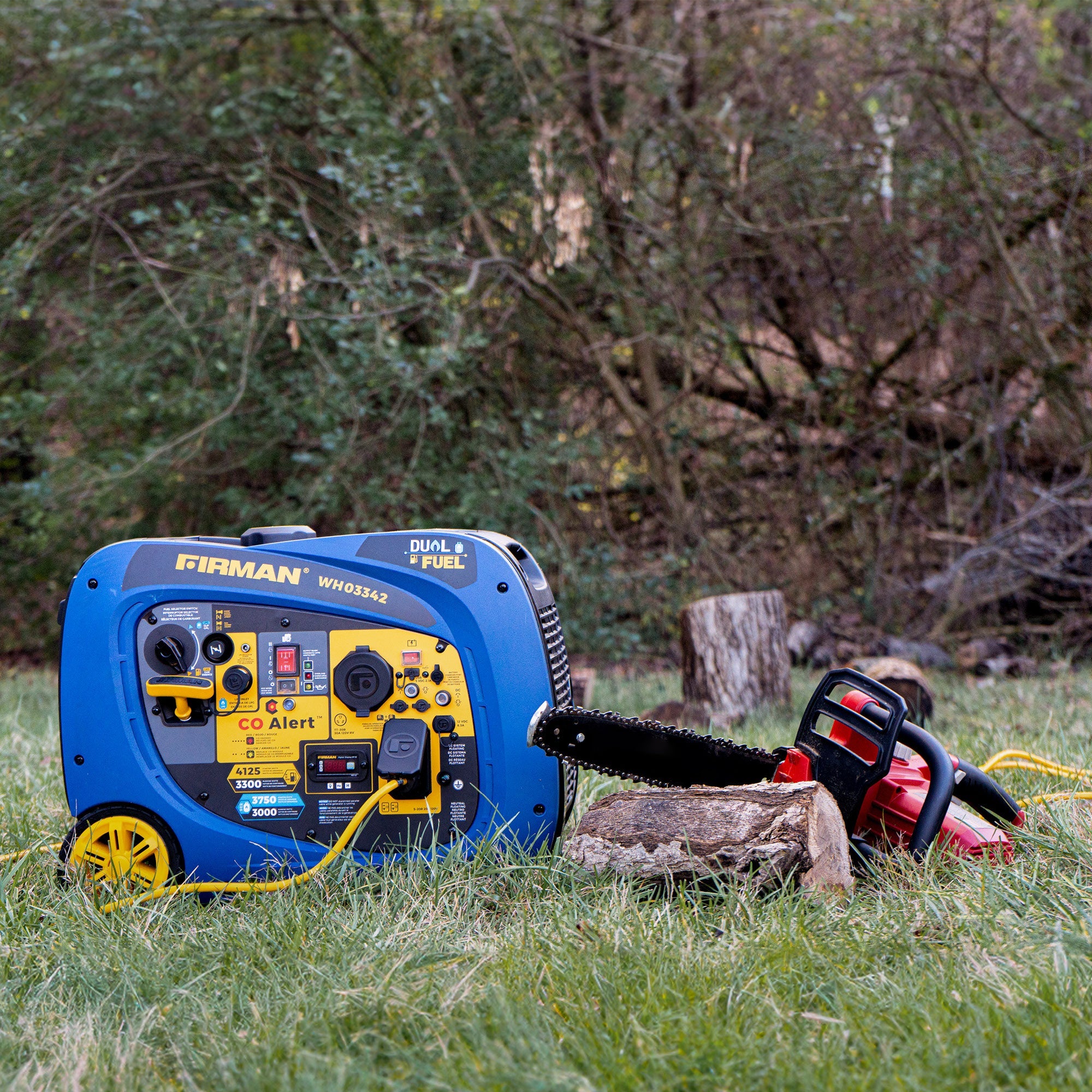 Dual Fuel Inverter Portable Generator 4125/3300W Electric Start with CO ALERT